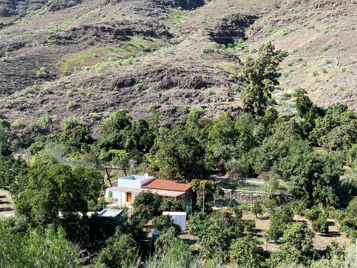 Finca Aquilino Y Carmen Mogán Exterior foto
